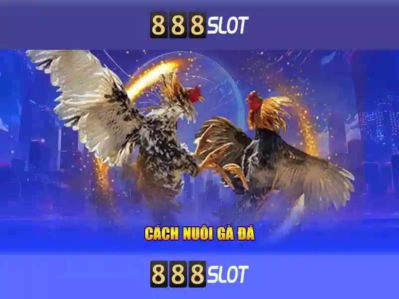 Ưu điểm nổi bật của slot đổi thưởng 888slot