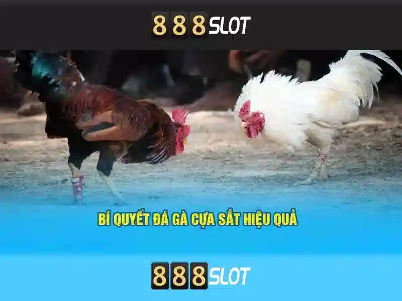 trải nghiệm GAME HOT 888SLOT