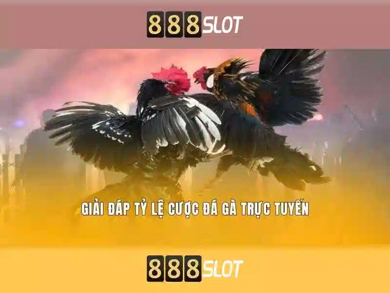 Giới Thiệu Về 888SLOT