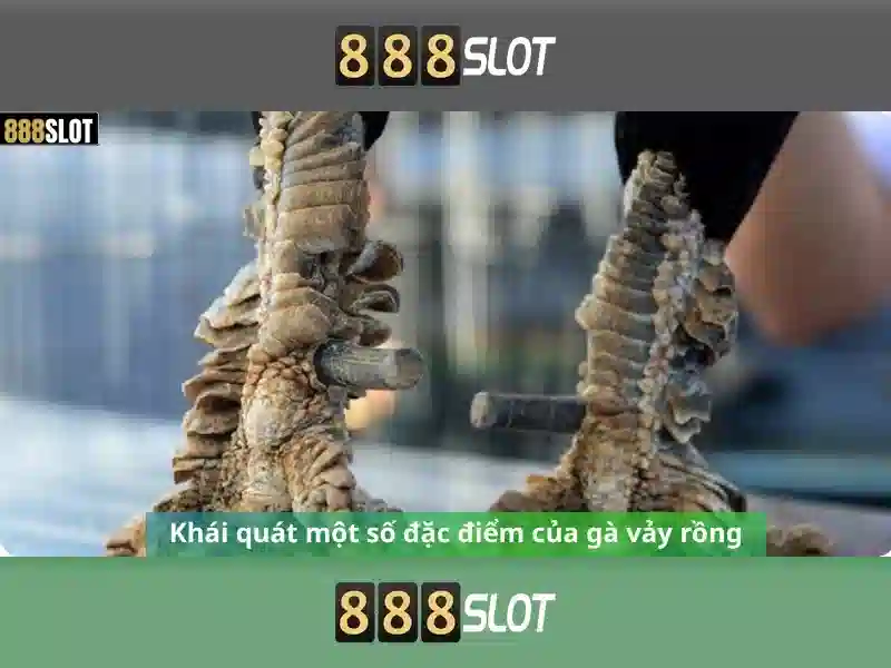 Cách Đăng Nhập 888SLOT