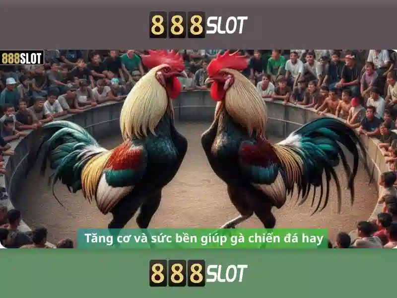 Đa Dạng Game Slot 888SLOT