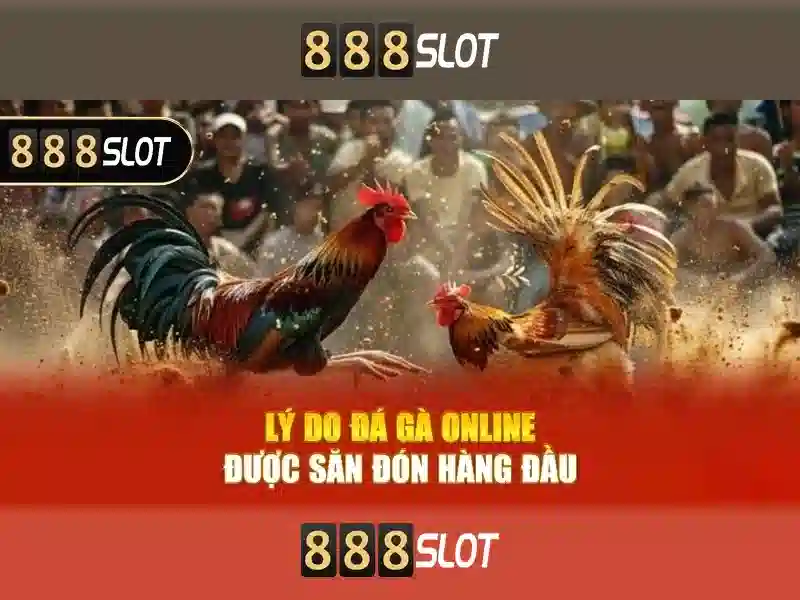 Khuyến Mãi Đá Gà