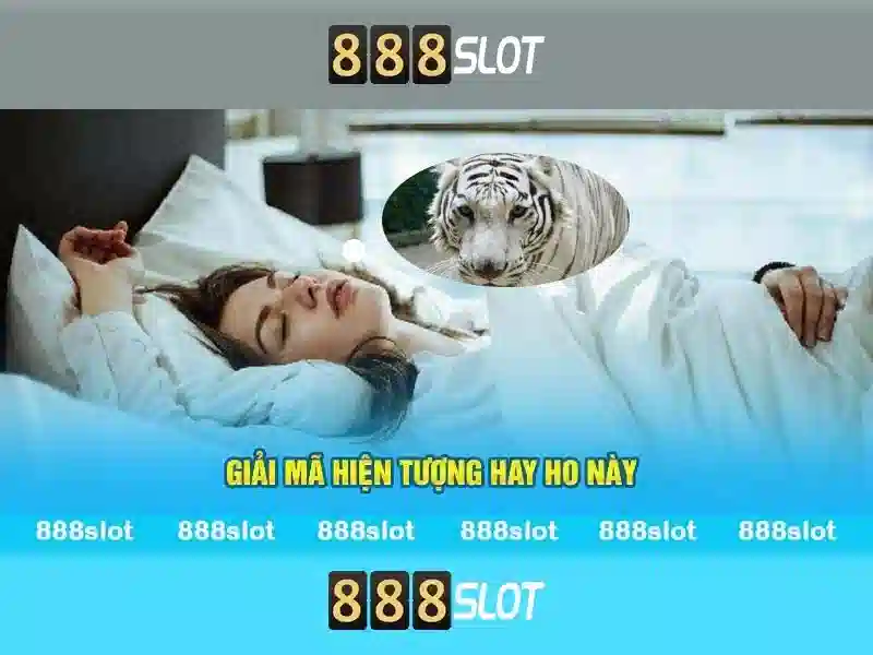 trải nghiệm game slot