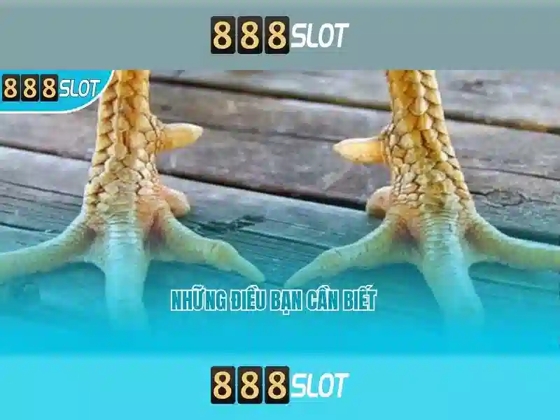 Ưu điểm của 888slot apk mod