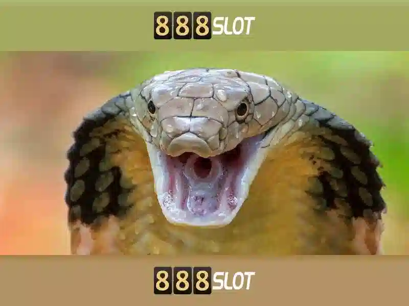Tính Năng Bắn Cá 3D