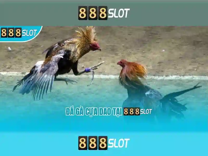 tính năng 888slot