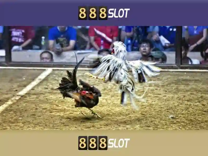 Slot trực tiếp 2026