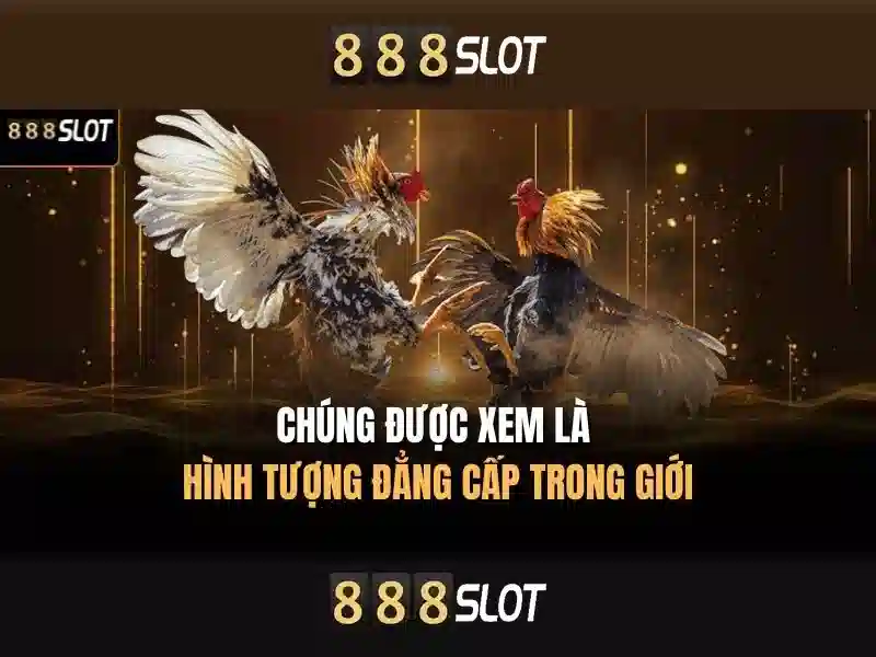 Khám phá Slot 83