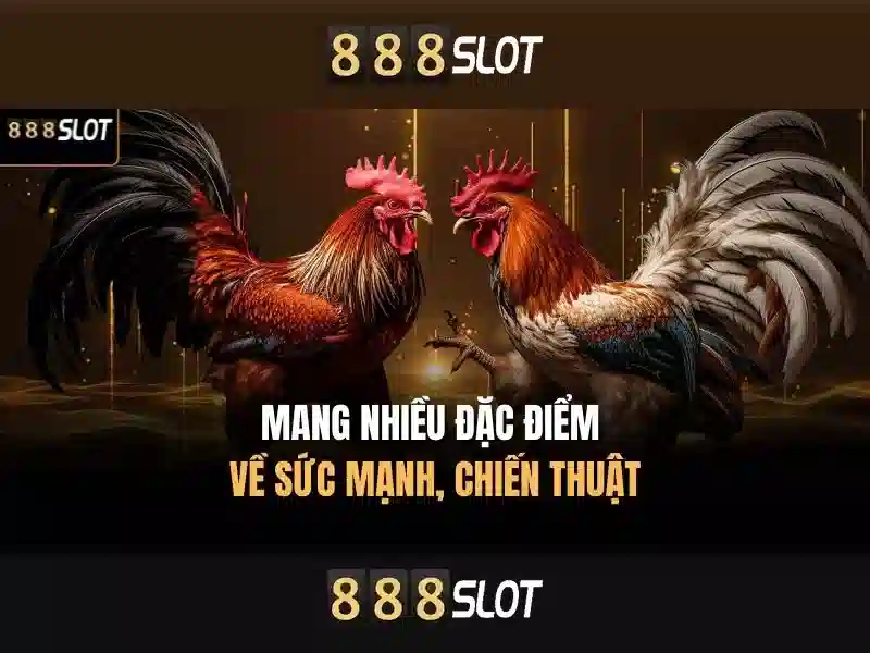 Cài đặt 888slot apk