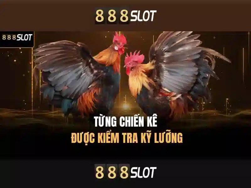 Hướng Dẫn 888SLOT