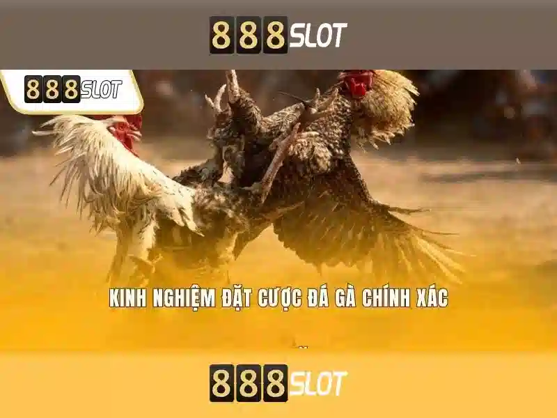 Giới Thiệu Về 888SLOT