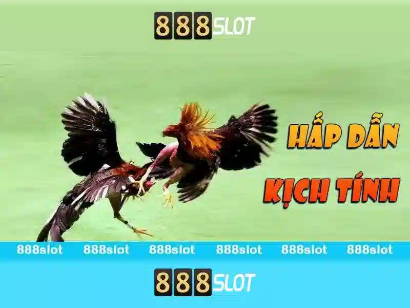 Người Dẫn Dắt Slot Uy Tín