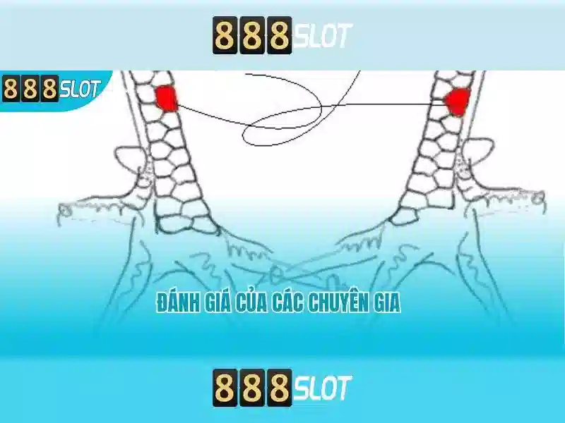 hỗ trợ 888slot