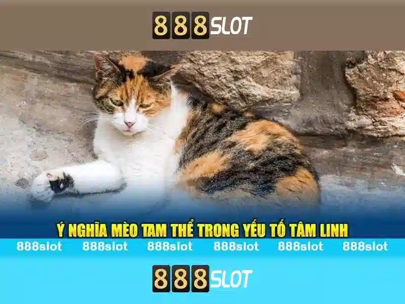 Quy Định Chơi