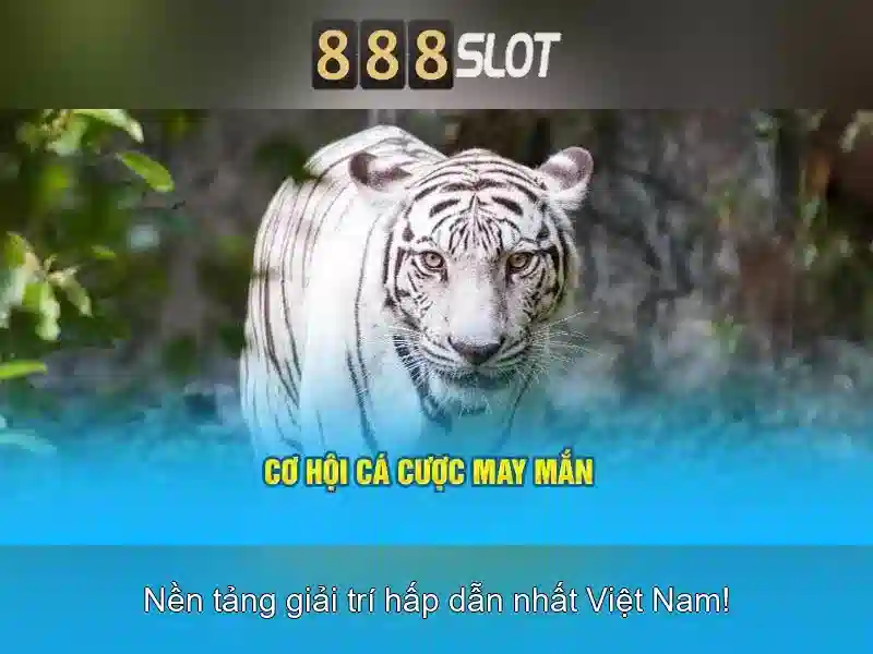 Tại Sao Nên Chọn