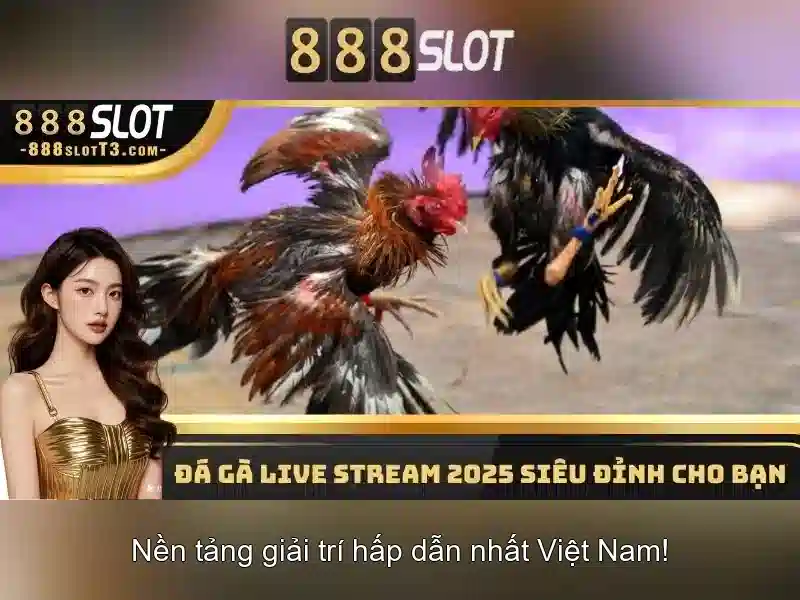 888SLOT - Nhà Cái Trực Tuyến Uy Tín Hàng Đầu 2026