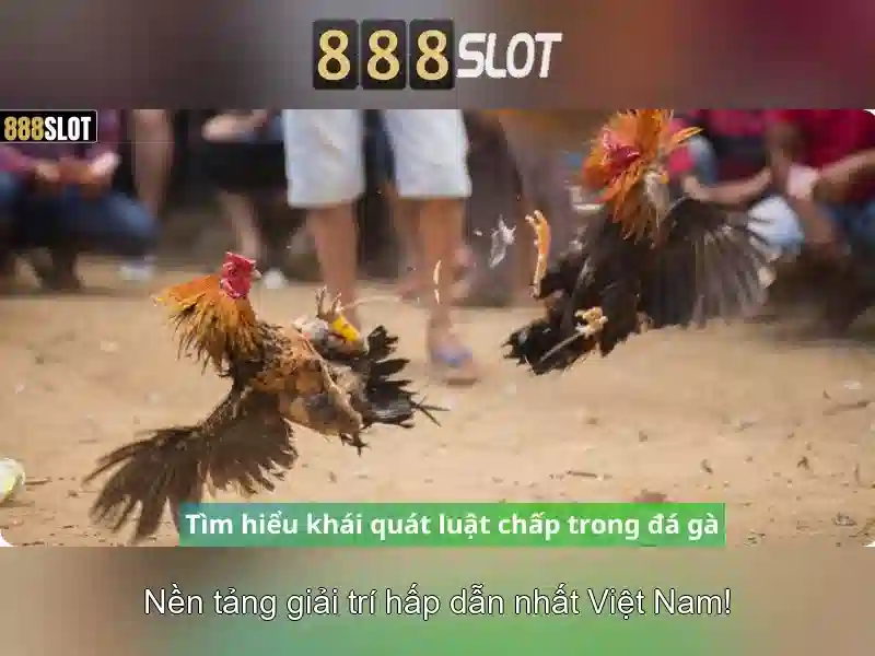 Tính năng slot độc quyền