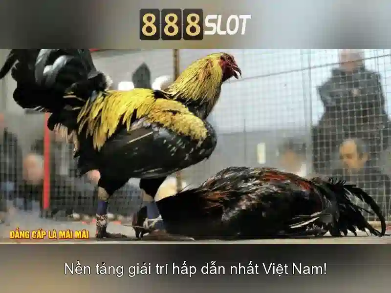 Trải Nghiệm Cá Cược Trực Tuyến Đa Dạng