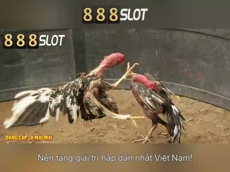 Tỷ Lệ Thắng Cao