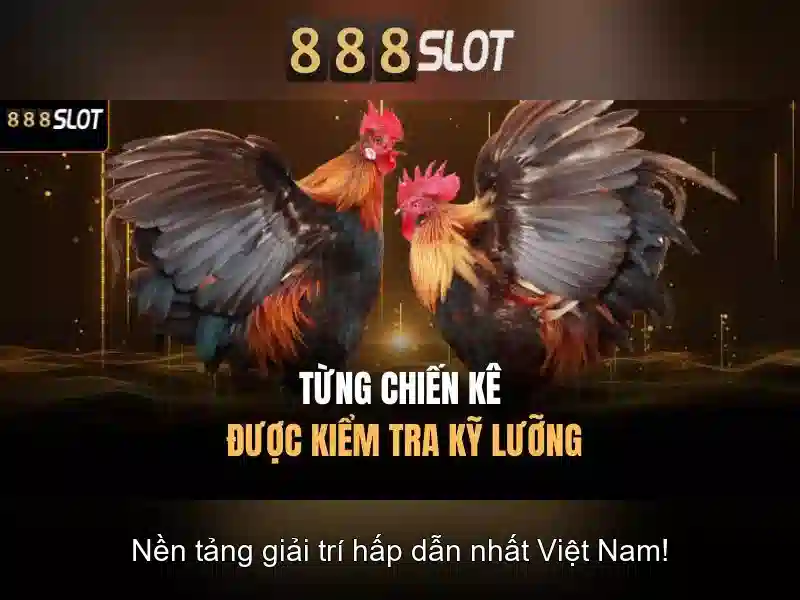 Giới Thiệu Về 888SLOT