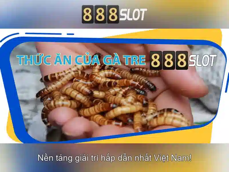 Khuyến mãi hấp dẫn cho người chơi