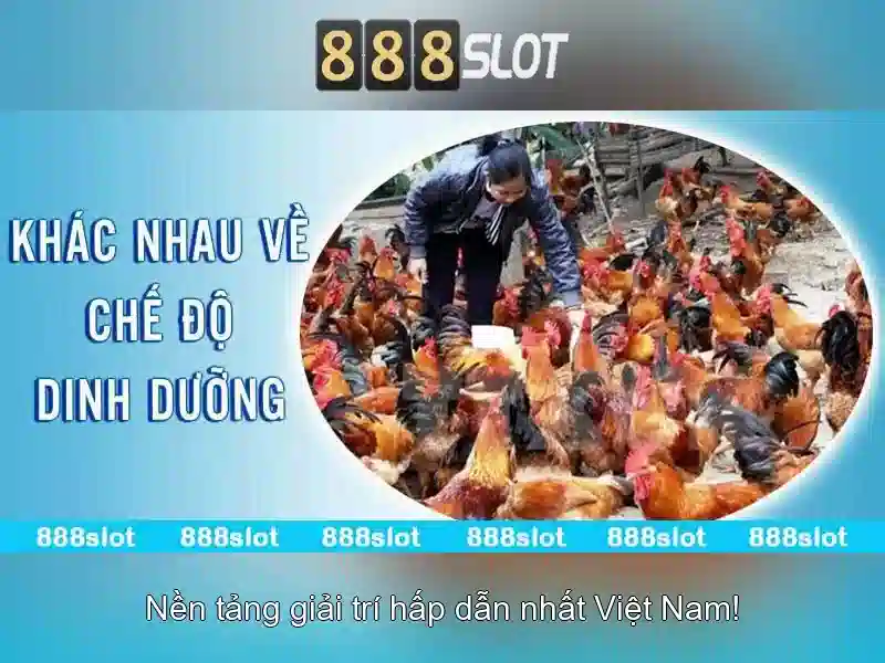 888SLOT – Trang Chủ Chính Thức 2026 | Casino, Xổ Số, Bắn Cá, Thể Thao, Nổ Hũ, 888slot đăng nhập