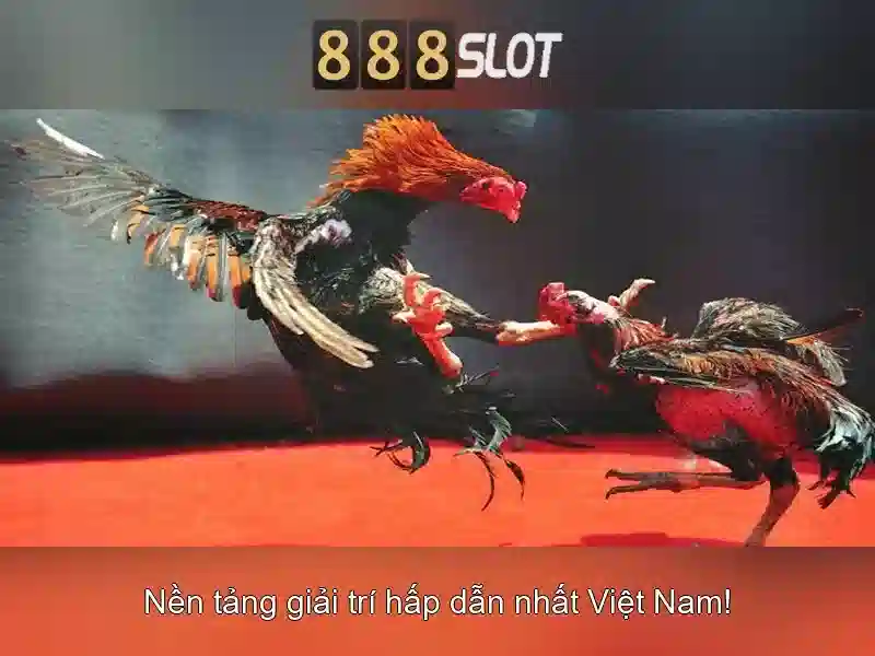 Cam nhan nguoi choi an danh ve tieu chuan an toan va toc do rut tien